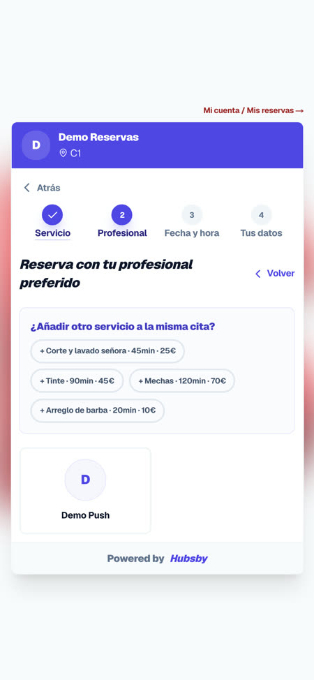 Reserva del cliente: profesional